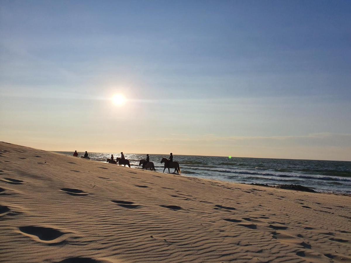Beachhouse Renesse 2645 외부 사진